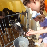 Wirtschaft in Aktion: Foto 1