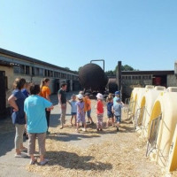 Wirtschaft in Aktion: Foto 2