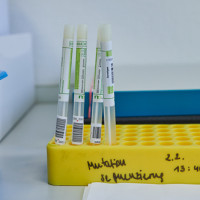Corona-PCR: Foto 12