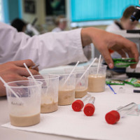 Landes-Biologieolympiade 2025: Foto 4