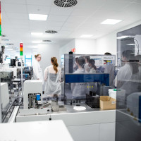 Landes-Biologieolympiade 2025: Foto 8