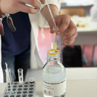 Landes-Biologieolympiade 2026: Foto 5