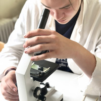 Landes-Biologieolympiade 2026: Foto 8