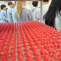 Landes-Biologieolympiade 2026: Foto 11